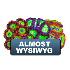 Almost WYSIWYG