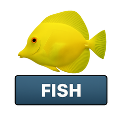 Saltwater Fish