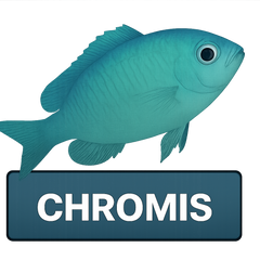 Chromis