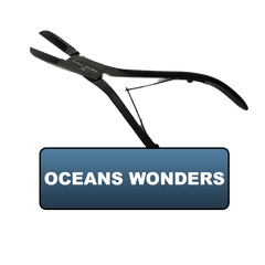 Oceans Wonders