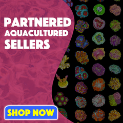 Partnered Aquacultred Sellers