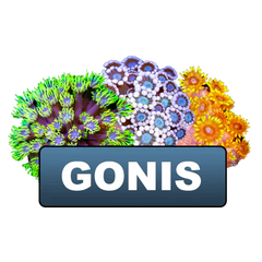 discount eligible gonis & alves