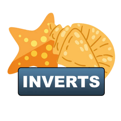 Inverts
