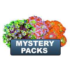 Mystery Pack