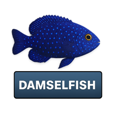 Damselfish