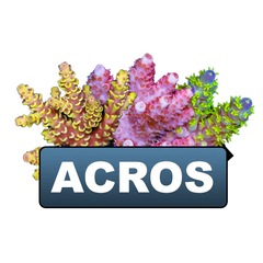 discount eligible acros