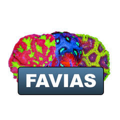 discount eligible favias