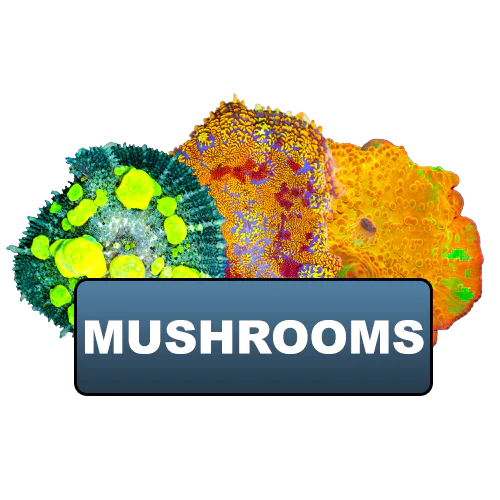 Mushrooms