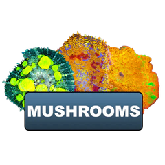discount eligible mushrooms