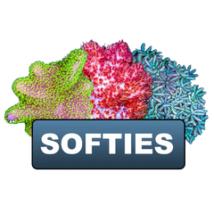 Softies