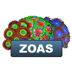 discount eligible zoas & palys