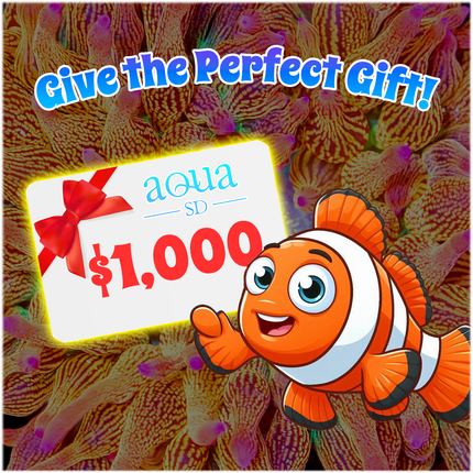 Aqua SD Gift Certificate ($1,000)