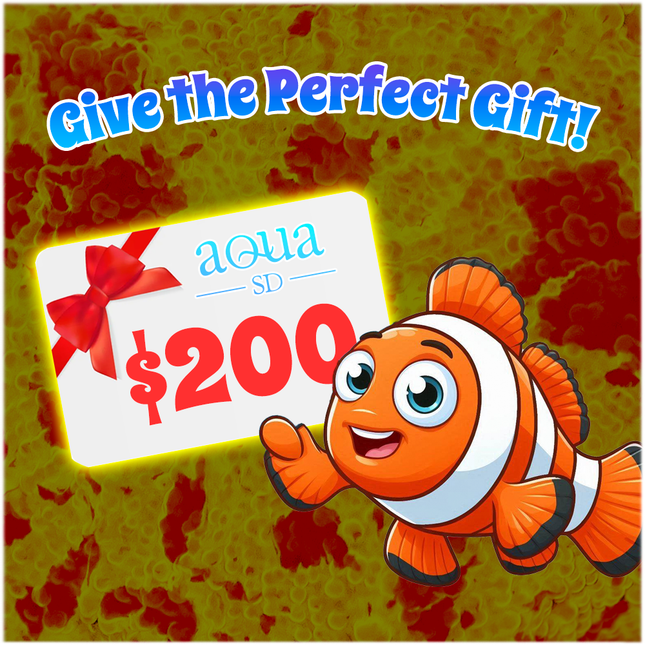 Aqua SD Gift Certificate ($200)