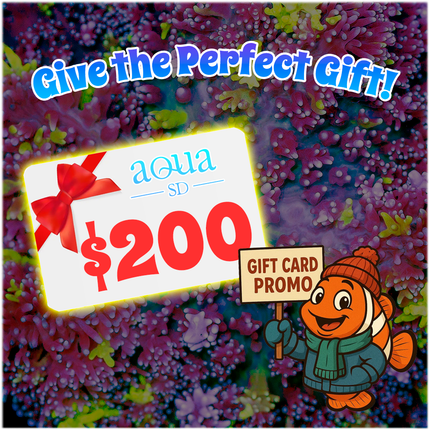 Aqua SD Gift Certificate ($200)