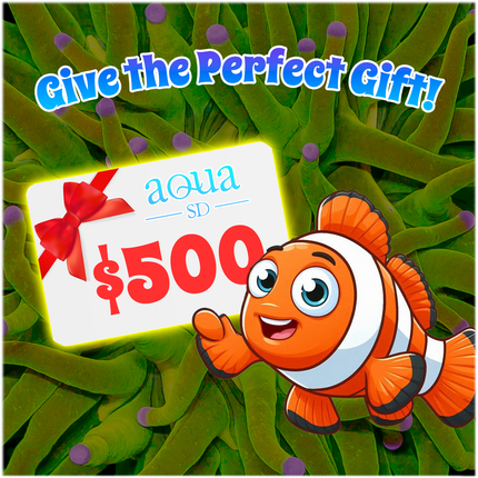 Aqua SD Gift Certificate ($500)