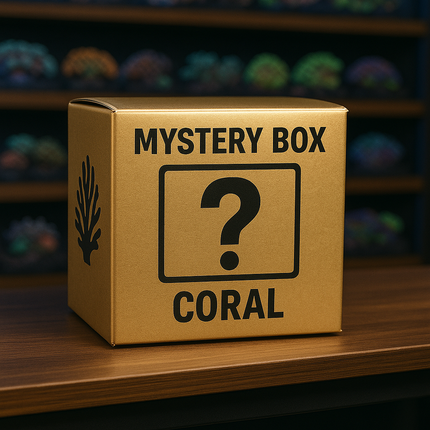 Mystery Coral $50