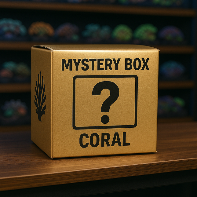 Mystery Coral $50