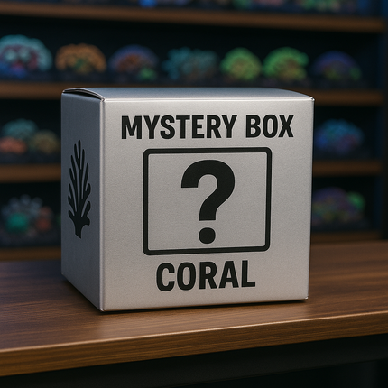 Mystery Coral $25