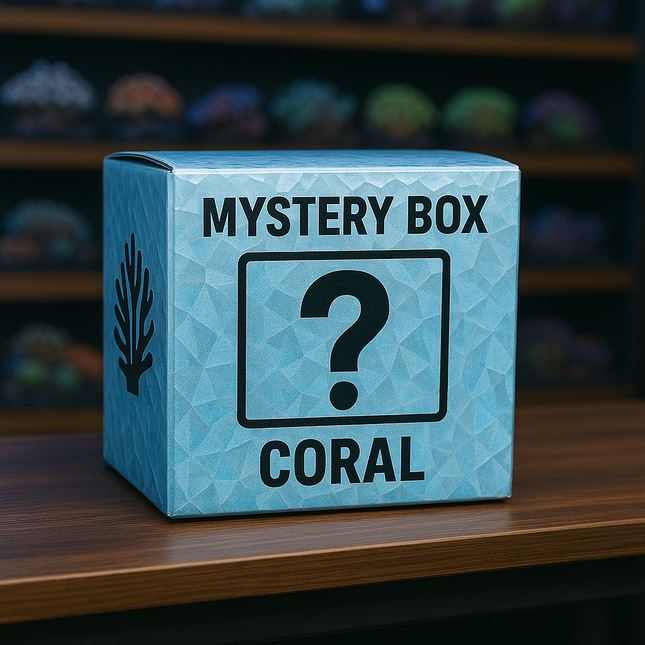 Mystery Coral $100