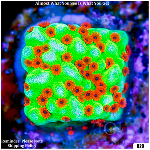 Descriptive image text