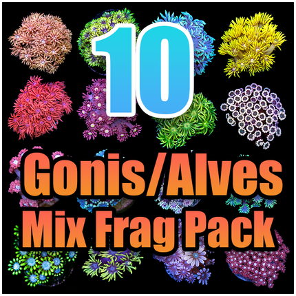 10 Assorted Goni/Alve Mix Frag Pack