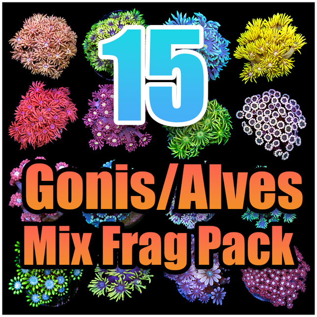 15 Assorted Goni/Alve Mix Frag Pack
