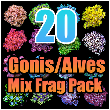 20 Assorted Goni/Alve Mix Frag Pack