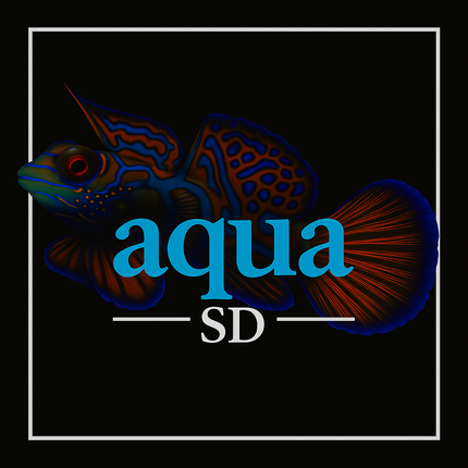 Green Mandarin Goby (Synchiropus splendidus)