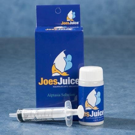 Joe's Juice Aptasia Eliminator 20mL