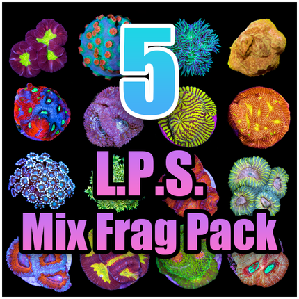 5 Assorted LPS Mix Frag Pack