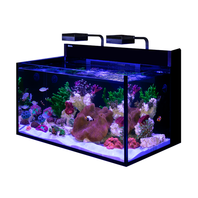 MAX NANO G2 XXL Aquarium (53 Gal)