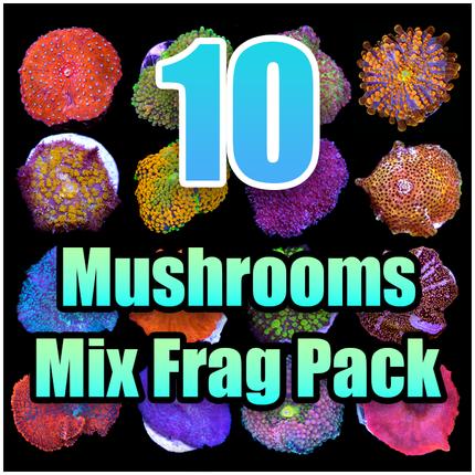 10 ASSORTED Mushroom MIX FRAG PACK