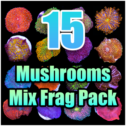15 ASSORTED Mushroom MIX FRAG PACK