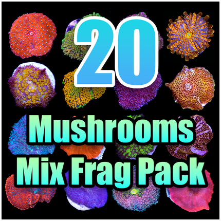 20 ASSORTED Mushroom MIX FRAG PACK