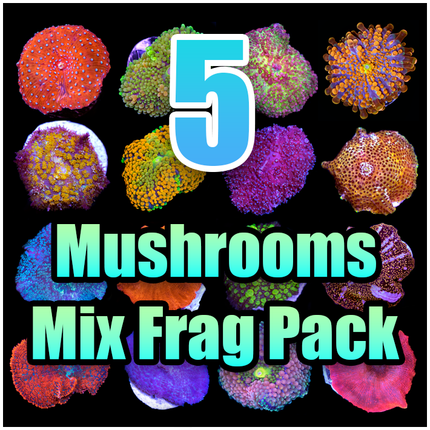 5 ASSORTED Mushroom MIX FRAG PACK