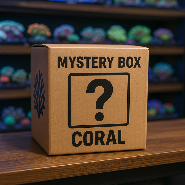 Mystery Coral $5