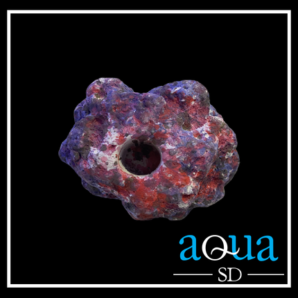 EcoRock Frag Plug Holders