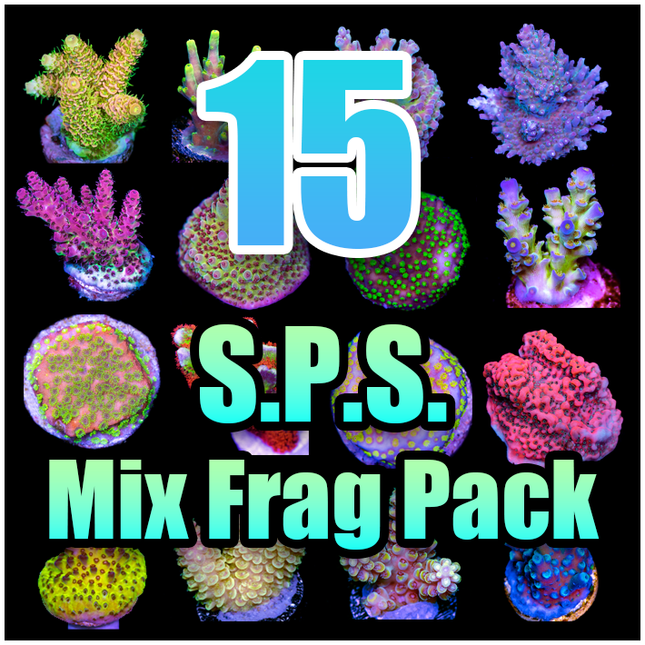 15 ASSORTED SPS MIX FRAG PACK