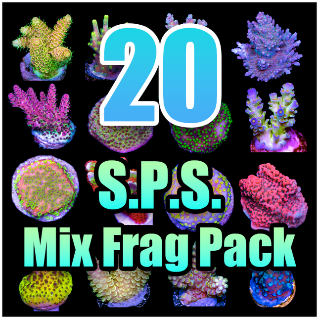 20 ASSORTED SPS MIX FRAG PACK