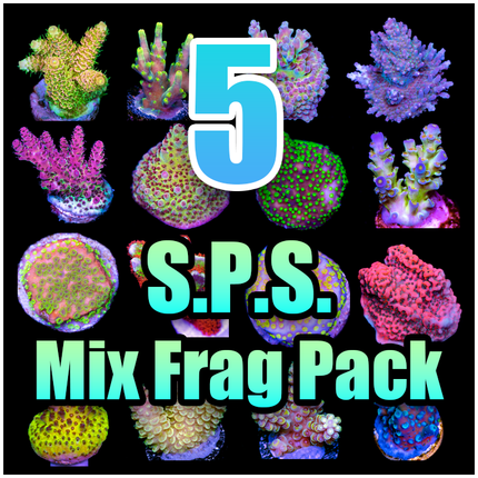 5 ASSORTED SPS MIX FRAG PACK