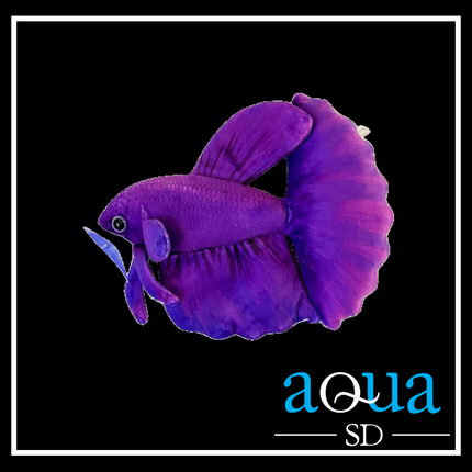 Stuffed Betta Plush