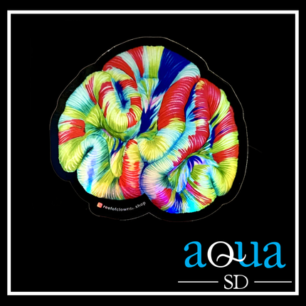 Trachyphyllia Coral Sticker by Reef of Clowns
