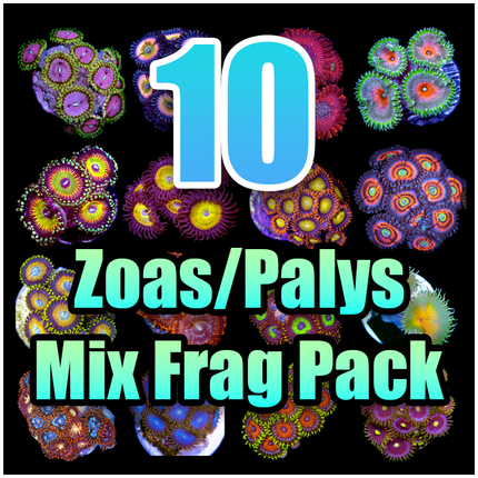 10 ASSORTED Zoas and Palys MIX FRAG PACK