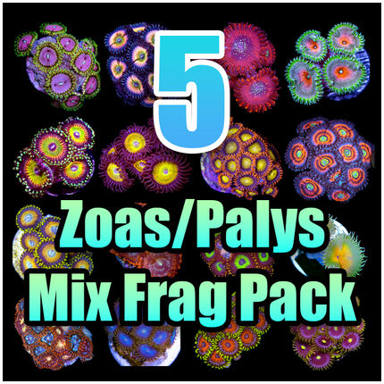 5 ASSORTED Zoas and Palys MIX FRAG PACK