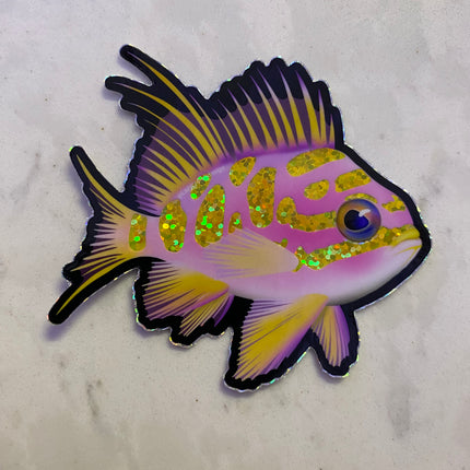 Blotched Anthias Sticker