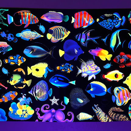 Saltwater Fish Pattern UV Reactive Tapestry