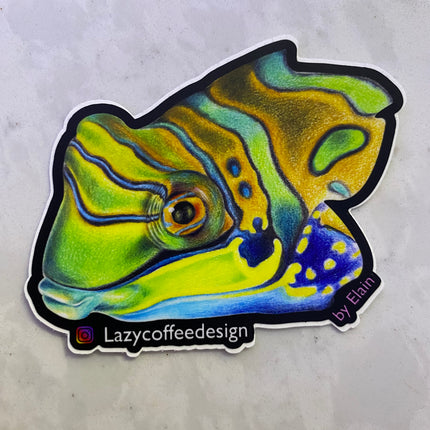 Mandarin Dragonet Face Sticker