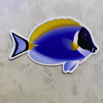 Powder Blue Tang Sticker