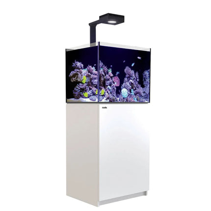 Reefer Deluxe 170 G2+ System (34 Gal)