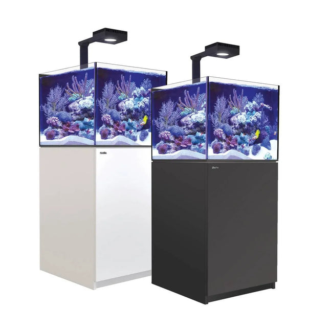 Reefer Deluxe 200 G2+ System (42 Gal)